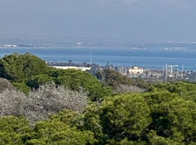 Nybyggnad - Lägenhet - Guardamar del Segura - Centro