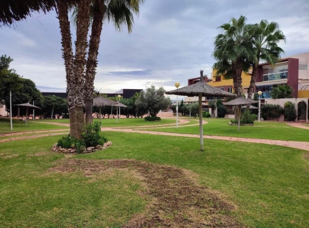 Resale - Apartment - Playa Flamenca - el bosque