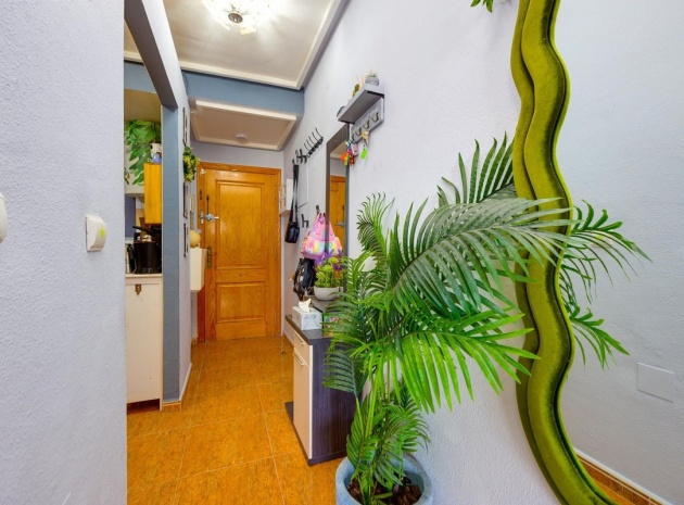 Resale - Apartment - Torrevieja - Torrevieja Centro
