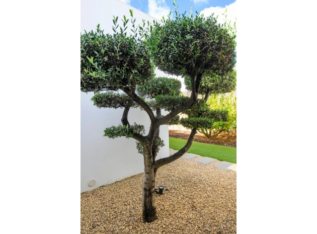 Resale - Villa - Orihuela - Las Colinas Golf Resort