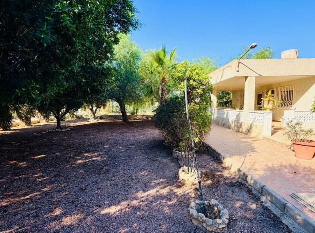 Återförsäljning - Villa - Crevillente - Crevillent - Crevillente - Crevillent Centro