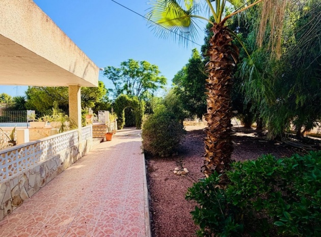 Återförsäljning - Villa - Crevillente - Crevillent - Crevillente - Crevillent Centro