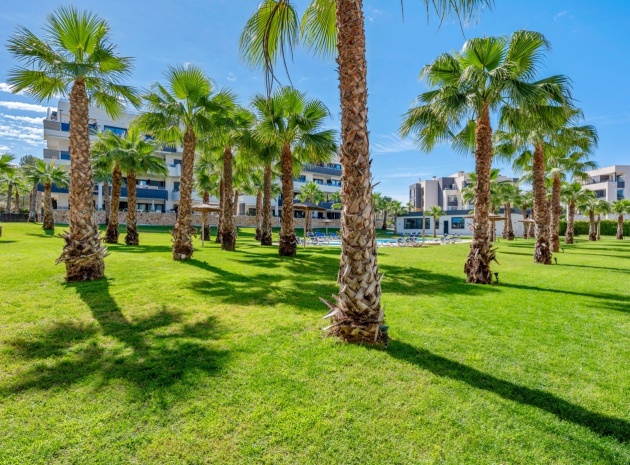 Revente - Appartement - Los Altos