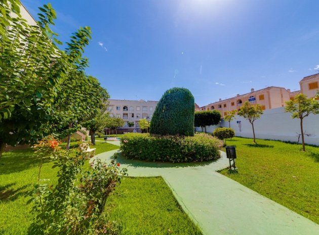 Återförsäljning - Lägenhet - Torrevieja - Torrevieja Centro