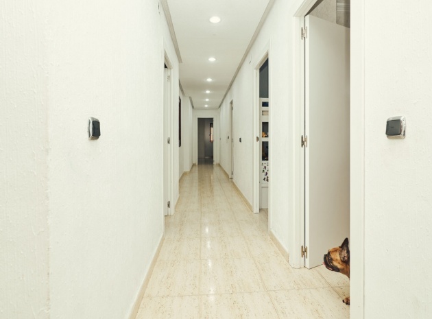 Wiederverkauf - Wohnung - Dolores - Dolores Centro