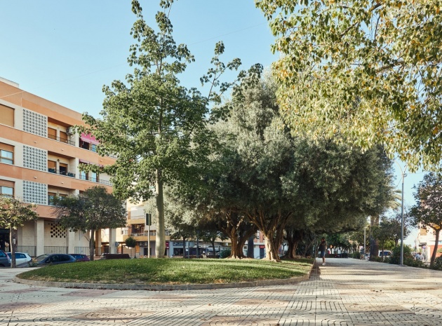 Wiederverkauf - Wohnung - Dolores - Dolores Centro