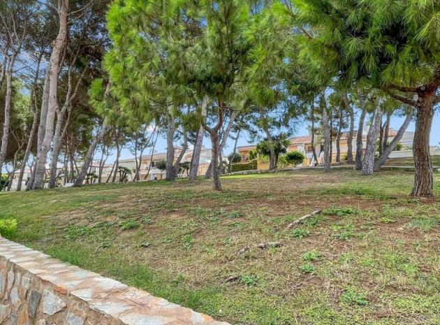 Återförsäljning - Lägenhet - Orihuela - Mil Palmeras