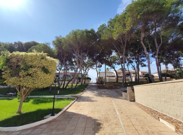 Återförsäljning - Lägenhet - Orihuela - Mil Palmeras