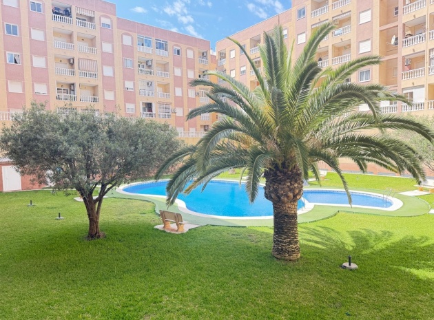 Återförsäljning - Lägenhet - Torrevieja - Torrevieja Centro