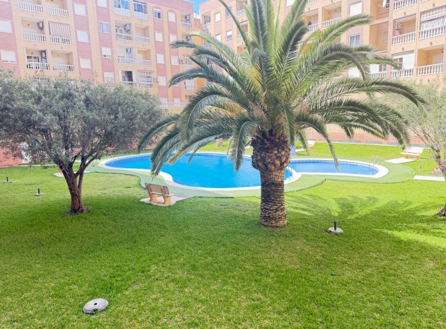 Återförsäljning - Lägenhet - Torrevieja - Torrevieja Centro