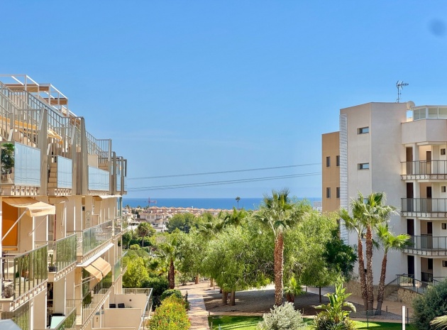 Wiederverkauf - Wohnung - Orihuela - Orihuela Centro