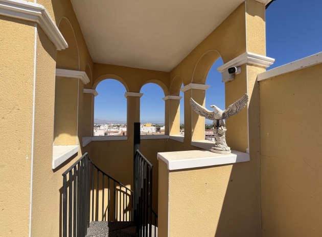 Wiederverkauf - Wohnung - Algorfa - fontana