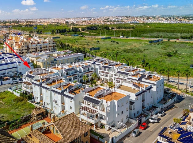 Återförsäljning - Lägenhet - Torrevieja - Torrevieja Centro