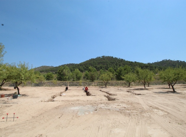 Wiederverkauf - Villa - Pinoso - Pinoso Centro