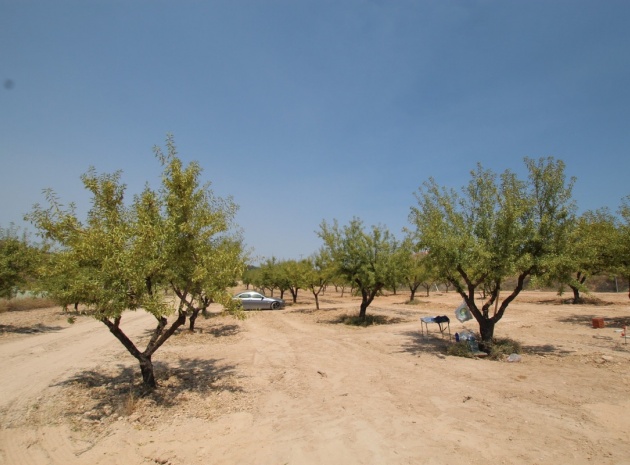 Wiederverkauf - Villa - Pinoso - Pinoso Centro