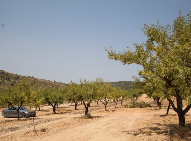 Återförsäljning - Villa - Pinoso - Pinoso Centro
