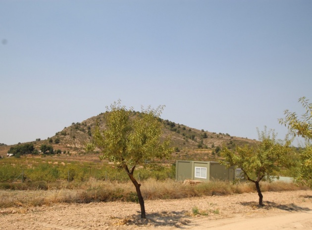 Återförsäljning - Villa - Pinoso - Pinoso Centro
