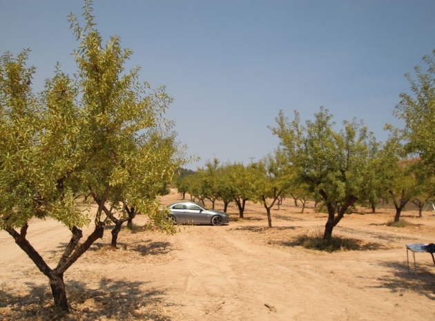 Återförsäljning - Villa - Pinoso - Pinoso Centro
