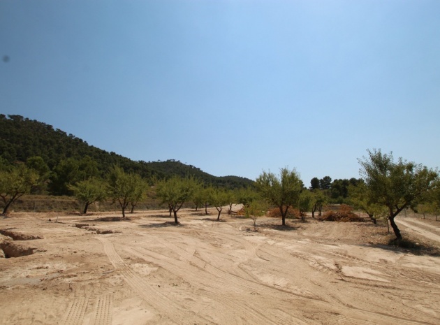 Återförsäljning - Villa - Pinoso - Pinoso Centro