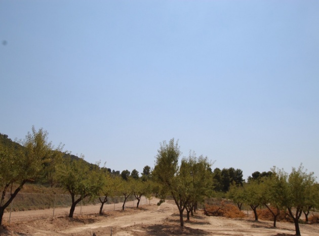 Återförsäljning - Villa - Pinoso - Pinoso Centro