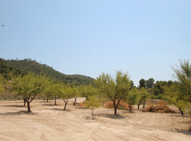 Återförsäljning - Villa - Pinoso - Pinoso Centro