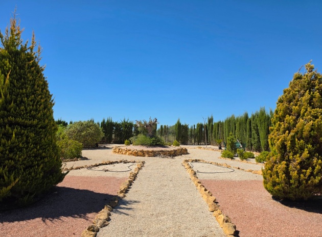 Wiederverkauf - Villa - Pinoso - Pinoso Centro