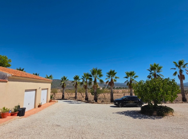 Wiederverkauf - Villa - Pinoso - Pinoso Centro