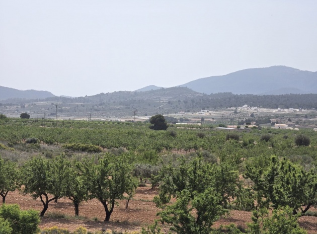 Återförsäljning - Villa - Pinoso - Pinoso Centro