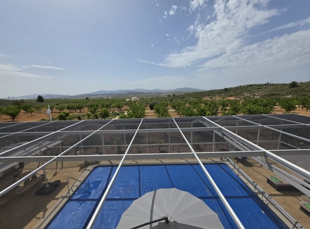 Återförsäljning - Villa - Pinoso - Pinoso Centro