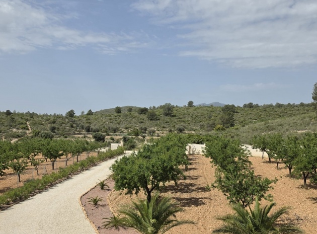 Återförsäljning - Villa - Pinoso - Pinoso Centro