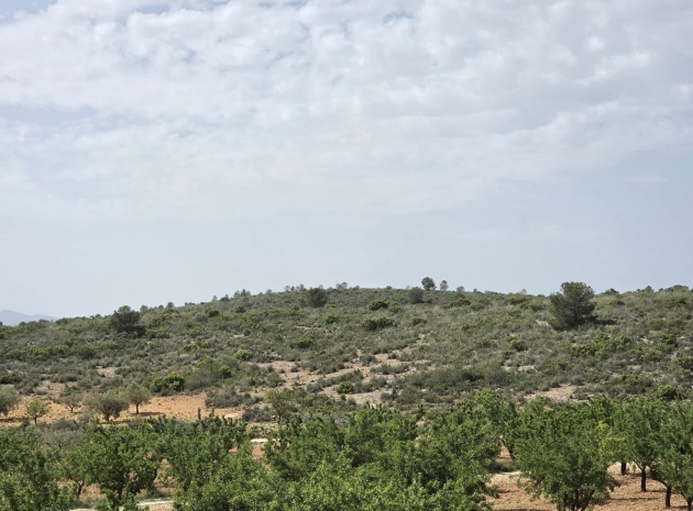 Återförsäljning - Villa - Pinoso - Pinoso Centro