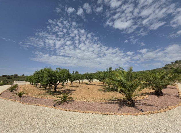 Återförsäljning - Villa - Pinoso - Pinoso Centro