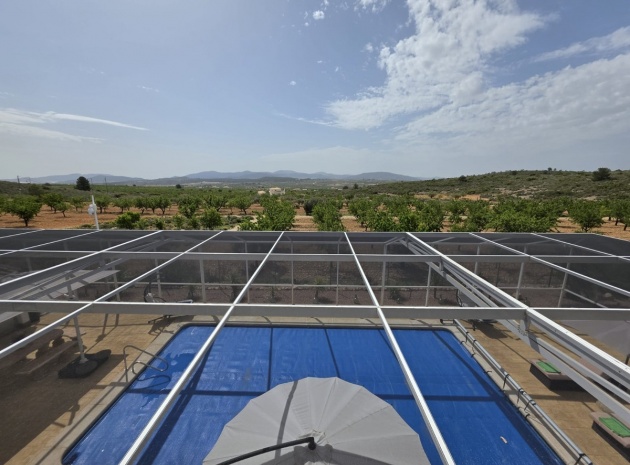 Återförsäljning - Villa - Pinoso - Pinoso Centro
