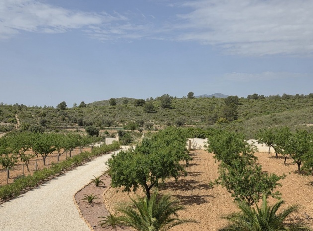 Återförsäljning - Villa - Pinoso - Pinoso Centro