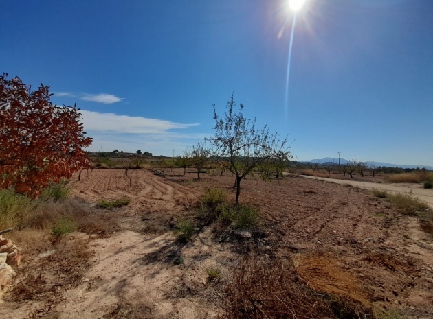 Resale - Country Property - Pinoso - Pinoso Centro