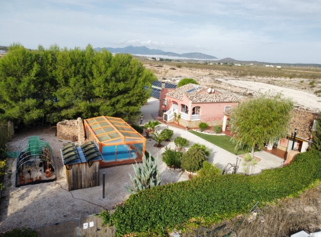 Wiederverkauf - Country Property - Pinoso - Pinoso Centro