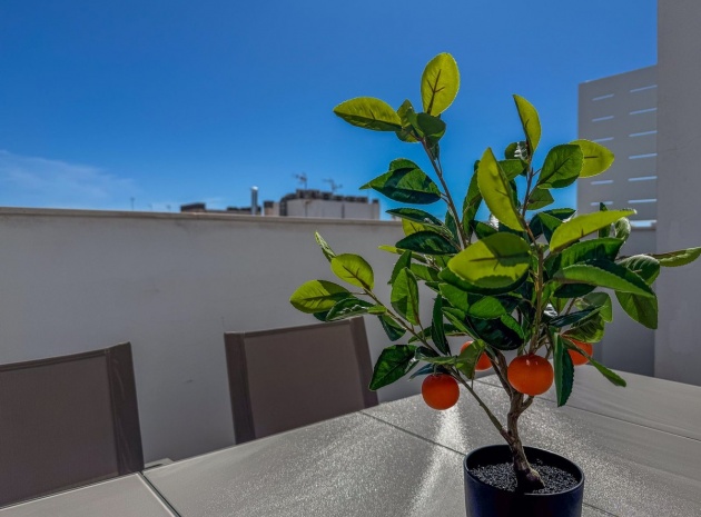 Återförsäljning - Lägenhet - Torrevieja - Torrevieja Centro