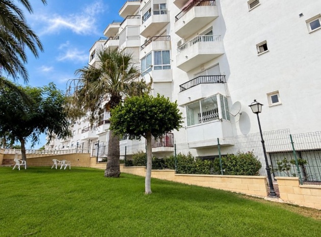Wiederverkauf - Wohnung - Torrevieja - Torrevieja Centro