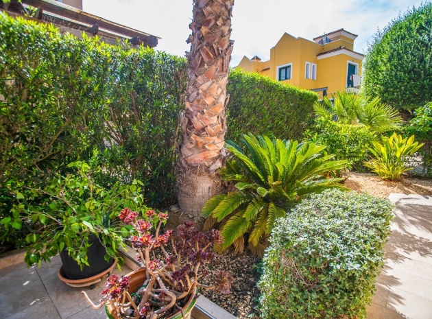 Wederverkoop - Villa - Torrevieja - Torrevieja Centro