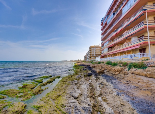 Återförsäljning - Lägenhet - Torrevieja - Playa de los Naufragos
