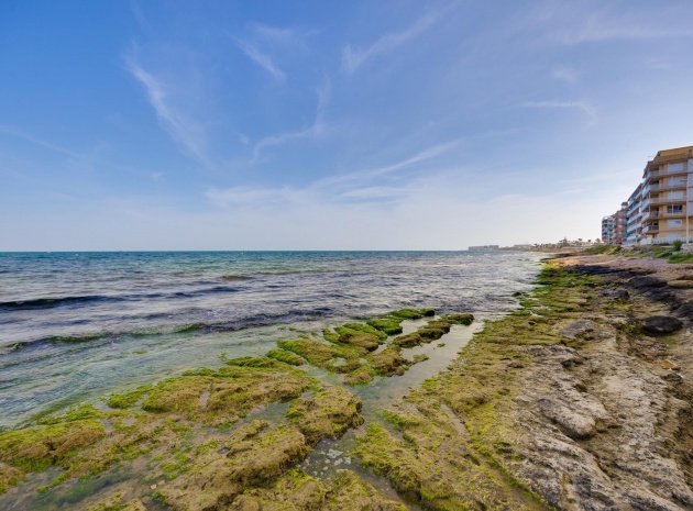 Återförsäljning - Lägenhet - Torrevieja - Playa de los Naufragos