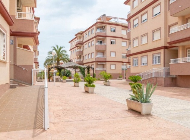 Resale - Apartment - Algorfa - res cecilia