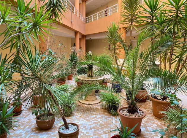 Resale - Apartment - San Miguel de Salinas - San Miguel de Salinas Centro