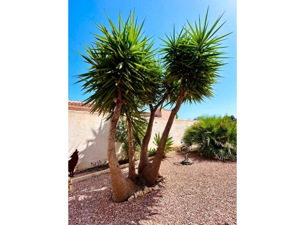 Resale - Villa - Torrevieja - san luis