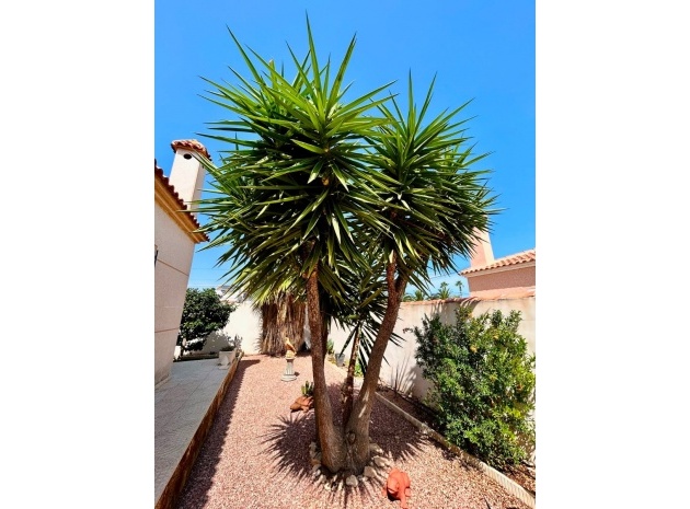Resale - Villa - Torrevieja - san luis