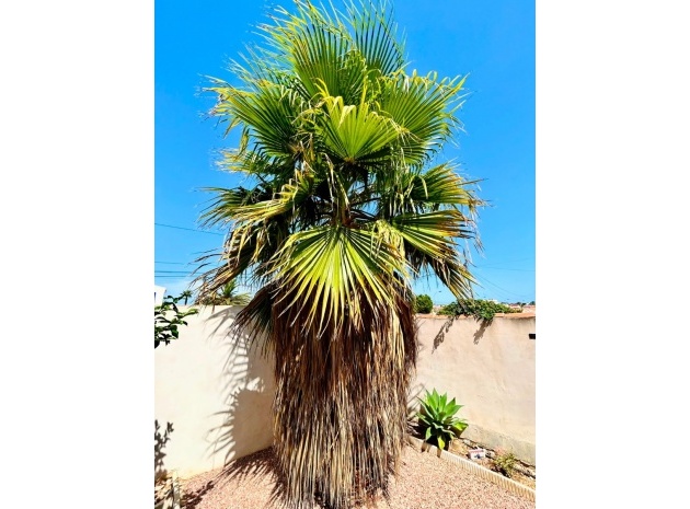 Resale - Villa - Torrevieja - san luis