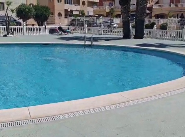 Wiederverkauf - Wohnung - Torrevieja - la siesta