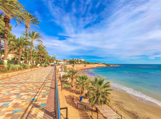 Resale - Apartment - Punta Prima - la cenula