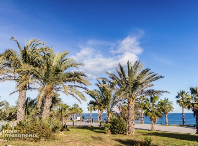 Resale - Apartment - Playa Flamenca - la calma