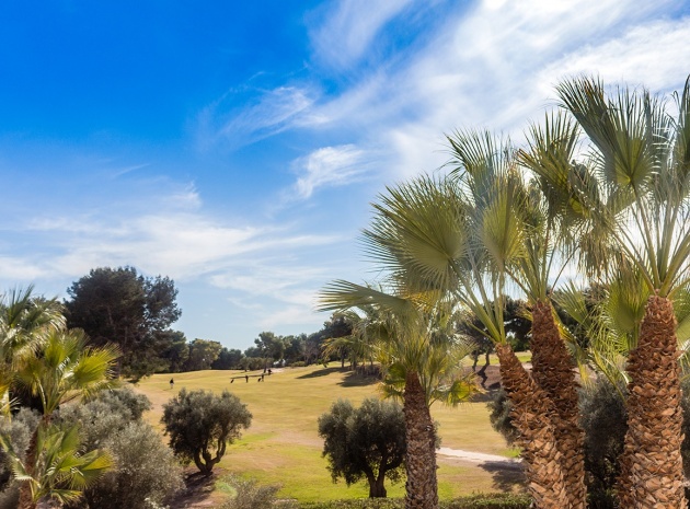 Resale - Apartment - Cabo Roig - Lomas de Cabo Roig
